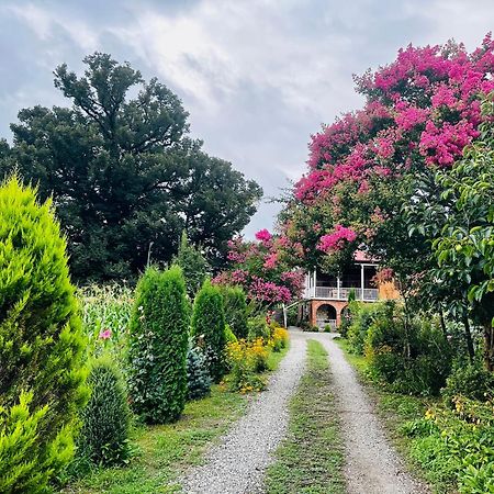 Guesthouse Kamelia มาร์ทวิลิ ภายนอก รูปภาพ