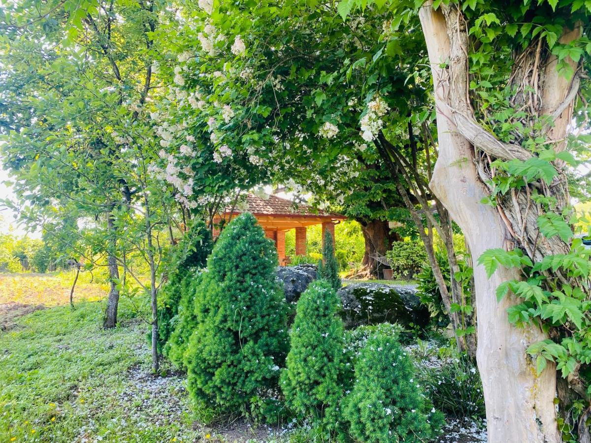 Guesthouse Kamelia มาร์ทวิลิ ภายนอก รูปภาพ