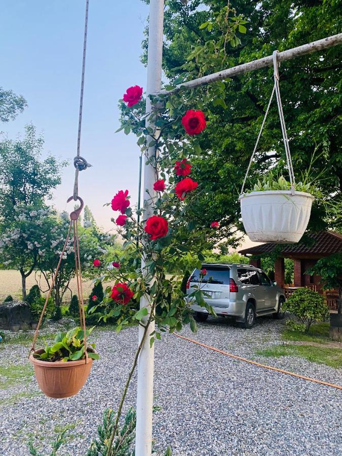 Guesthouse Kamelia มาร์ทวิลิ ภายนอก รูปภาพ
