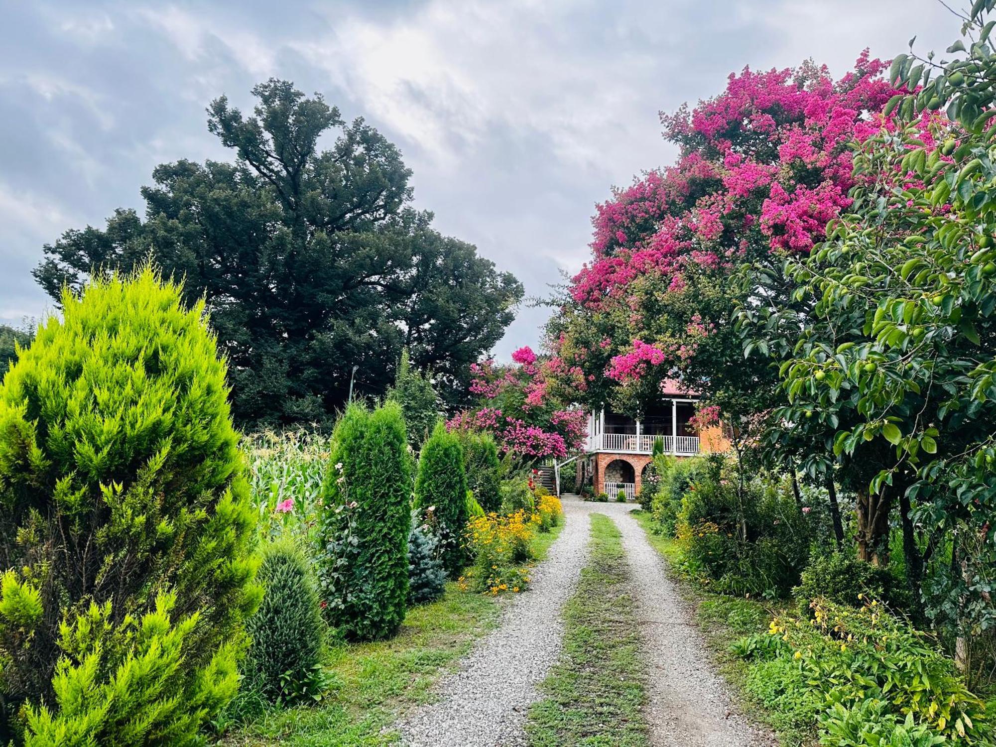 Guesthouse Kamelia มาร์ทวิลิ ภายนอก รูปภาพ