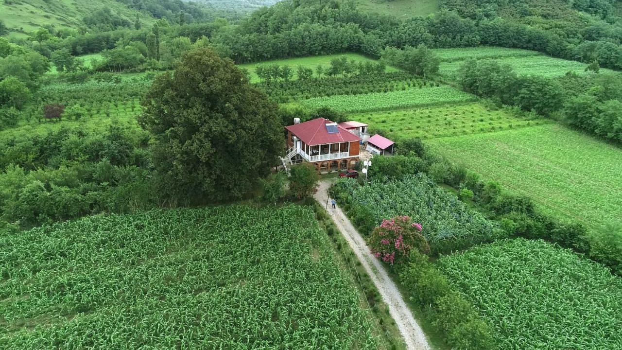 Guesthouse Kamelia มาร์ทวิลิ ภายนอก รูปภาพ