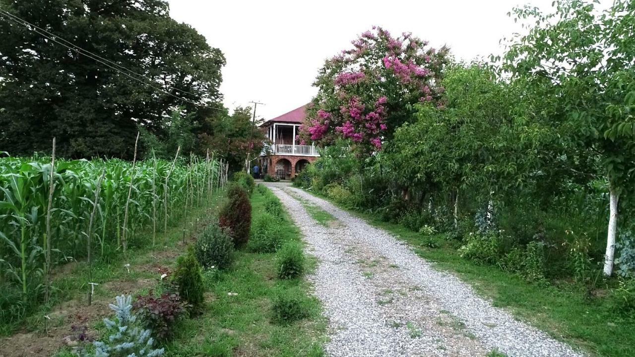 Guesthouse Kamelia มาร์ทวิลิ ภายนอก รูปภาพ
