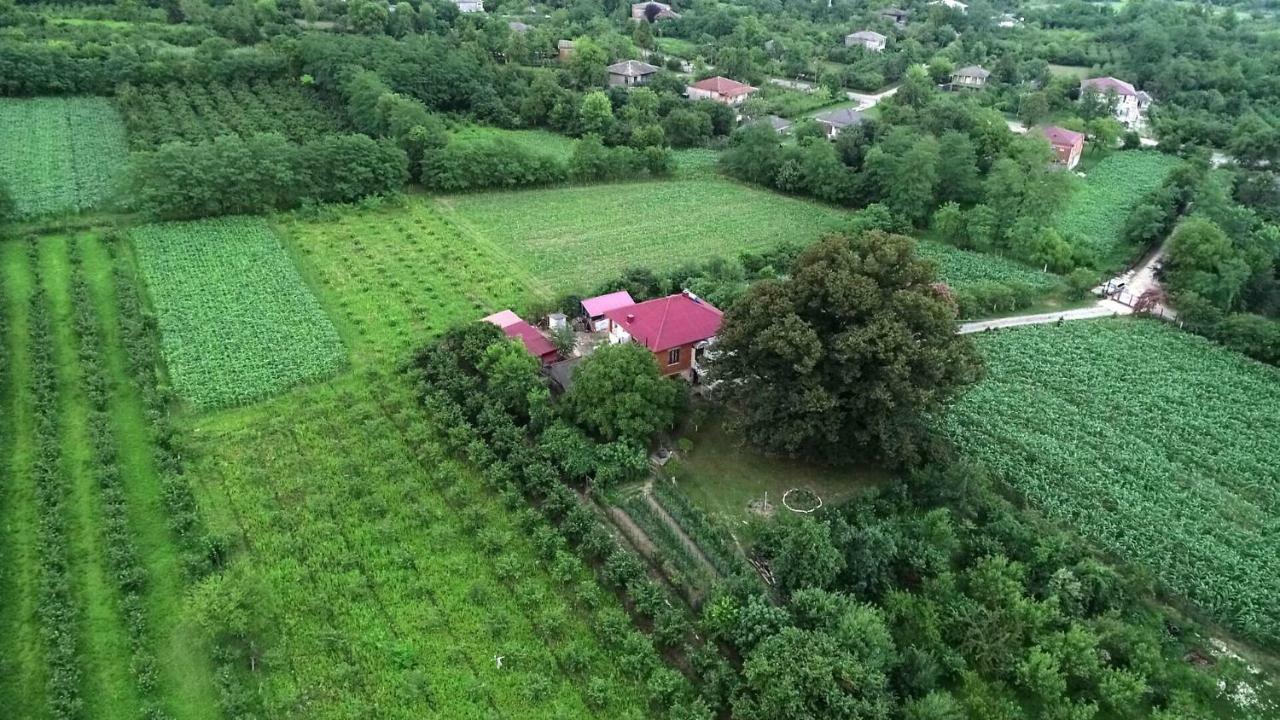 Guesthouse Kamelia มาร์ทวิลิ ภายนอก รูปภาพ